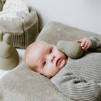 Baby's Only Badspeelgoed Pingu√ØNs Urban Green/Mint 2St - Baby's Only - Babywinkel - 8720791353575