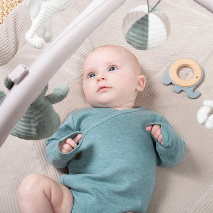 Baby's Only Bijtring Olifant Grijs - Baby's Only - Babywinkel - 8720512364682