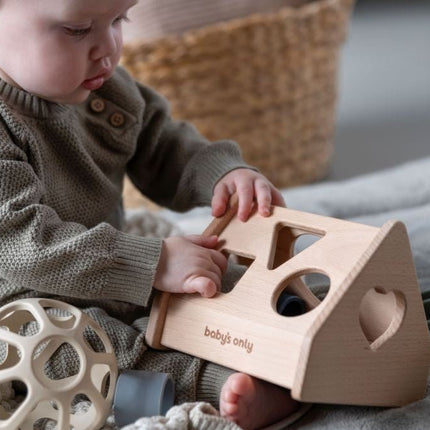 Baby's Only Vormenstoof Huis Earth - Baby's Only - Babywinkel - 8720791353599