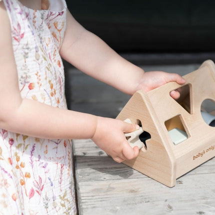 Baby's Only Vormenstoof Huis Earth - Baby's Only - Babywinkel - 8720791353599