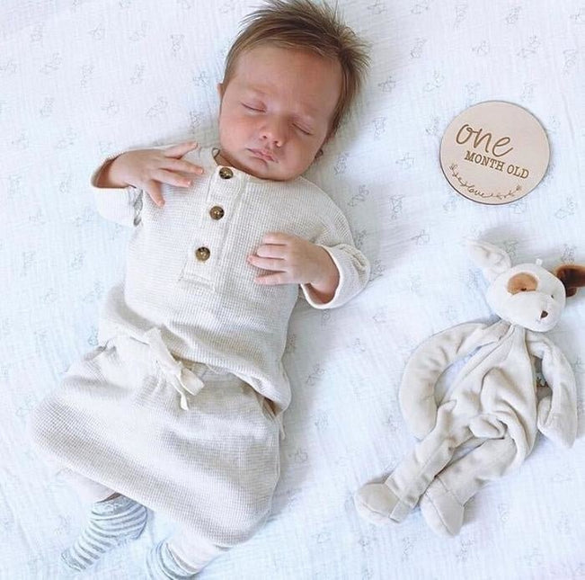 Bunnies By The Bay Knuffeldoekje Hond 25cm - Bunnies By The Bay - Babywinkel - 811357008690