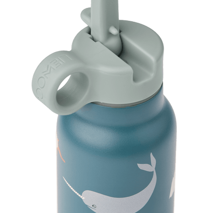 Falk Water Bottle 350 ml Arctic Sea / Ocean view - Babywinkel - 5715493474874
