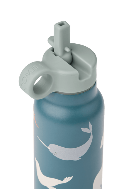 Falk Water Bottle 350 ml Arctic Sea / Ocean view - Babywinkel - 5715493474874