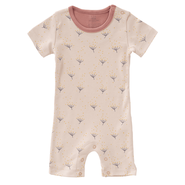 Fresk Boxpakje Dandelion koop je bij Babywinkel