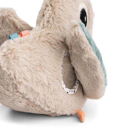 Hide&Seek - speelgoed Clucky Sand koop je bij Babywinkel