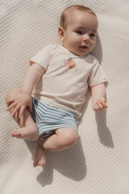 Korte broek blauw Stone Blue stripe koop je bij Babywinkel