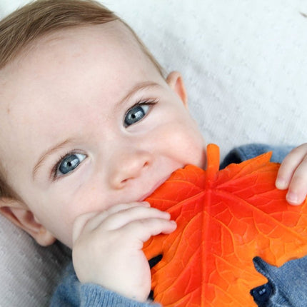 Lanco Bijtring Herfstblad - Lanco - Babywinkel - 8424678904453