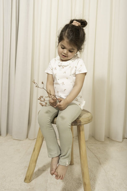 Little Dutch Baby Shirt Korte Mouwen White Meadows - Little Dutch - Babywinkel - 8720847027030