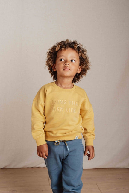 Little Dutch Baby Sweater Mustard Yellow - Little Dutch - Babywinkel - 8720986876889