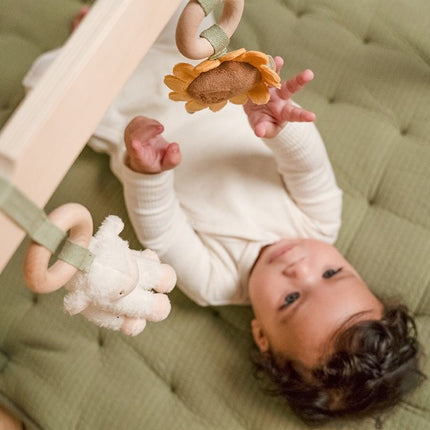 Little Dutch Babygym Little Farm - Little Dutch - Babywinkel - 8713291888104