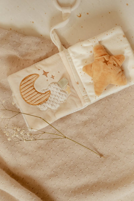 Little Dutch Buggyboekje Newborn koop je bij Babywinkel