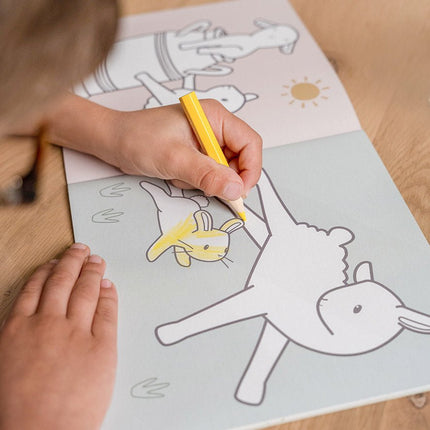 Little Dutch Kleurboek Little Farm - Little Dutch - Babywinkel - 8714274125650