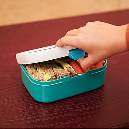 Little Dutch Lunchbox Campus Flowers & Butterflies - Little Dutch - Babywinkel - 8720294016489
