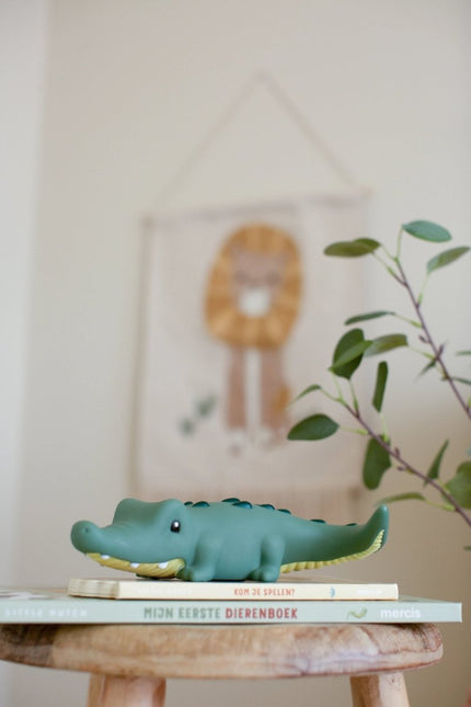 Little Dutch Nachtlampje Krokodil koop je bij Babywinkel