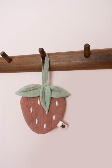 Little Dutch Speendoekje Aardbei koop je bij Babywinkel