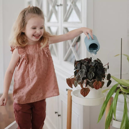 Mushie Badspeelgoed Gieter French Blue koop je bij Babywinkel