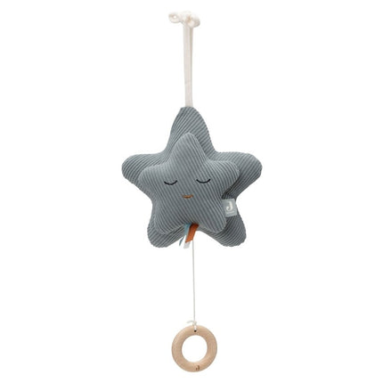 Muziekhanger Star - Sea Green - Babywinkel - 8717329394070