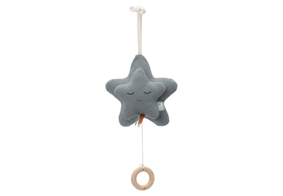 Muziekhanger Star - Sea Green - Babywinkel - 8717329394070