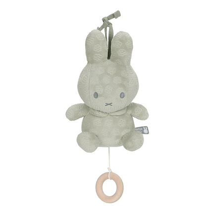 Nijntje Muziekhanger Green Flower koop je bij Babywinkel