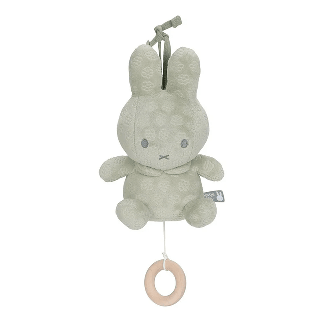 Nijntje Muziekhanger Green Flower koop je bij Babywinkel
