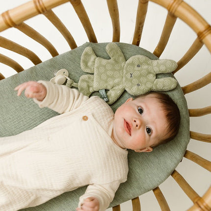 Nijntje Speendoekje Green Flower koop je bij Babywinkel