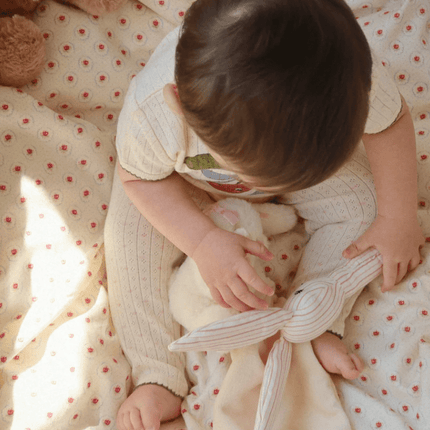 Ratelaar Konijn Stripie Petite Rose koop je bij Babywinkel