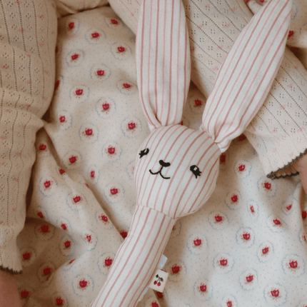 Ratelaar Konijn Stripie Petite Rose koop je bij Babywinkel
