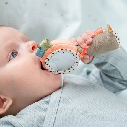 Sensory Rammelaar Spiegel set Celebration Colour mix koop je bij Babywinkel