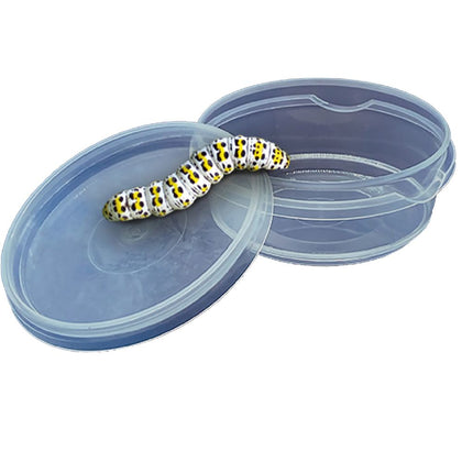 Ses 25116 Insecten Explorer - Babywinkel - 8710341251161