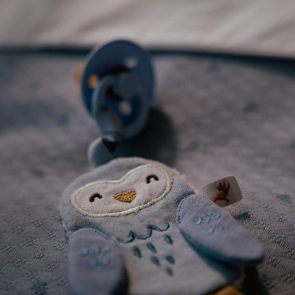 Speendoekje Uil - Forest Friends - Babywinkel - 8721122585443
