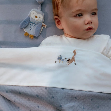 Speendoekje Uil - Forest Friends - Babywinkel - 8721122585443