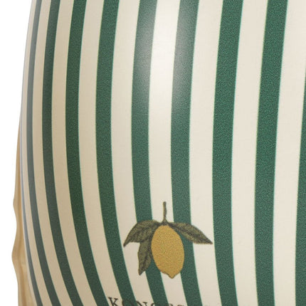 Zwemvleugels Basis Groene Streep koop je bij Babywinkel